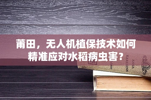 莆田，无人机植保技术如何精准应对水稻病虫害？