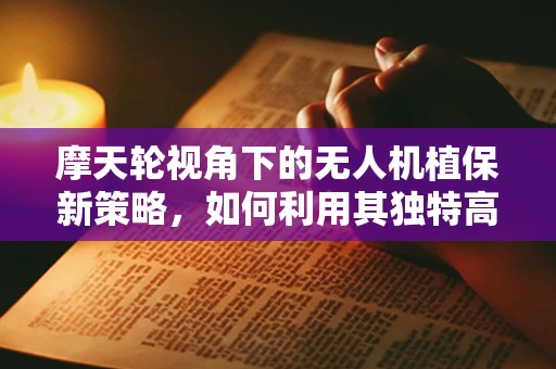 摩天轮视角下的无人机植保新策略，如何利用其独特高度优化作物监测？
