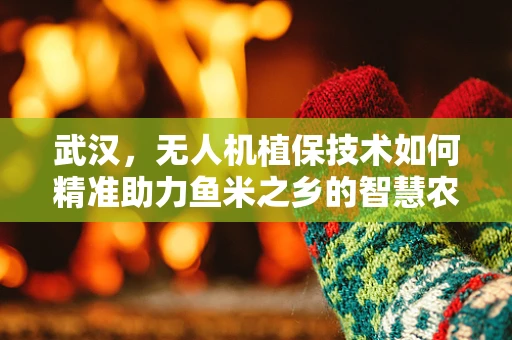 武汉，无人机植保技术如何精准助力鱼米之乡的智慧农业新篇章？