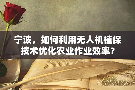 宁波，如何利用无人机植保技术优化农业作业效率？