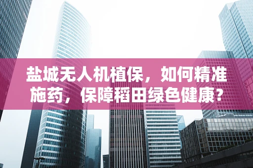 盐城无人机植保，如何精准施药，保障稻田绿色健康？