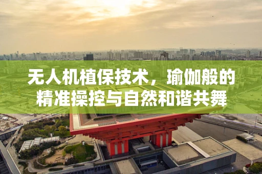 无人机植保技术，瑜伽般的精准操控与自然和谐共舞
