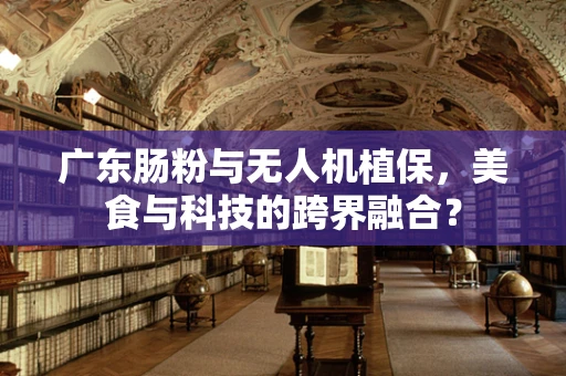 广东肠粉与无人机植保，美食与科技的跨界融合？