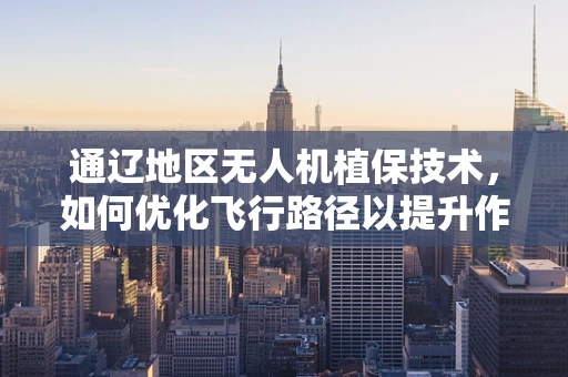通辽地区无人机植保技术，如何优化飞行路径以提升作业效率？