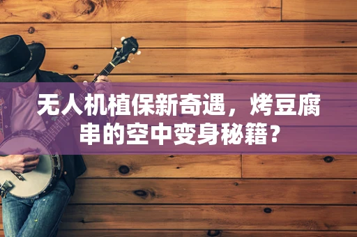 无人机植保新奇遇，烤豆腐串的空中变身秘籍？