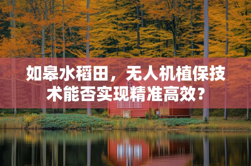 如皋水稻田，无人机植保技术能否实现精准高效？