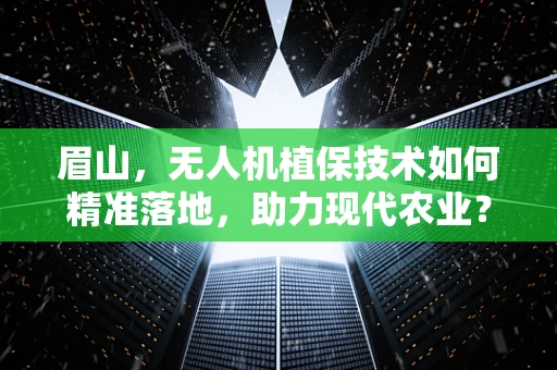 眉山，无人机植保技术如何精准落地，助力现代农业？