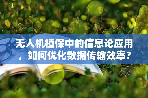 无人机植保中的信息论应用，如何优化数据传输效率？