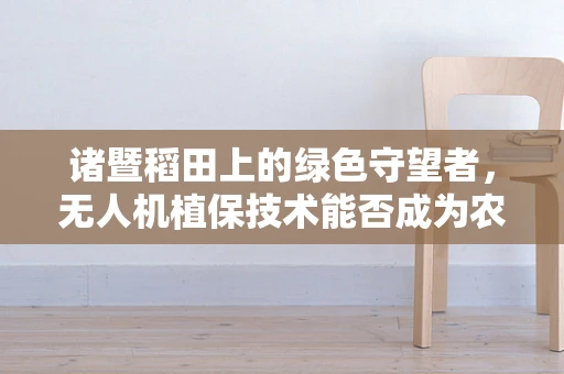 诸暨稻田上的绿色守望者，无人机植保技术能否成为农业新‘航’向标？