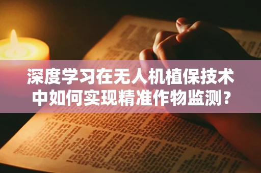 深度学习在无人机植保技术中如何实现精准作物监测？
