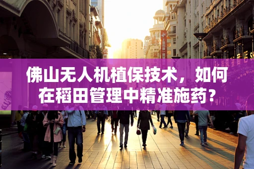 佛山无人机植保技术，如何在稻田管理中精准施药？