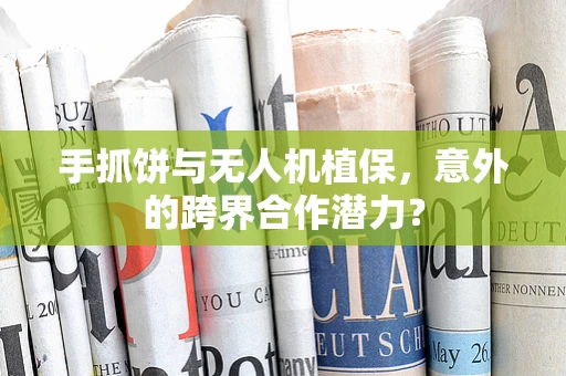 手抓饼与无人机植保，意外的跨界合作潜力？