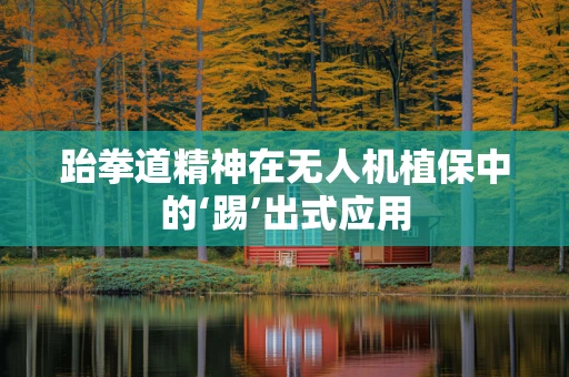 跆拳道精神在无人机植保中的‘踢’出式应用