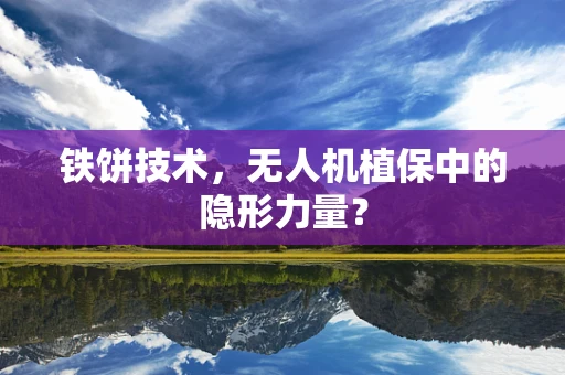 铁饼技术，无人机植保中的隐形力量？