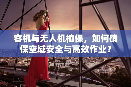 客机与无人机植保，如何确保空域安全与高效作业？