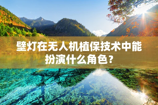 壁灯在无人机植保技术中能扮演什么角色？