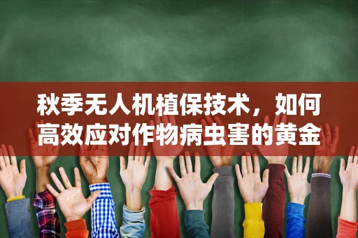 秋季无人机植保技术，如何高效应对作物病虫害的黄金时期？