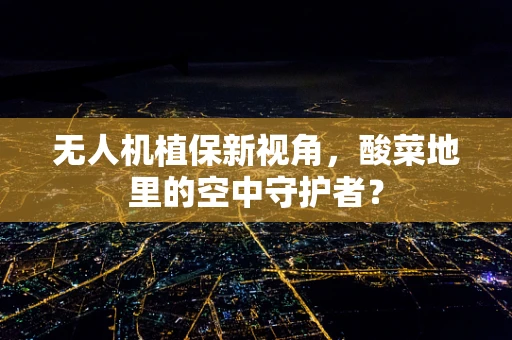 无人机植保新视角，酸菜地里的空中守护者？