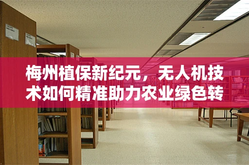 梅州植保新纪元，无人机技术如何精准助力农业绿色转型？