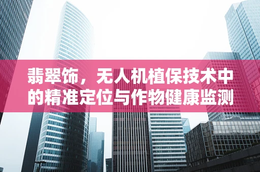 翡翠饰，无人机植保技术中的精准定位与作物健康监测新挑战？