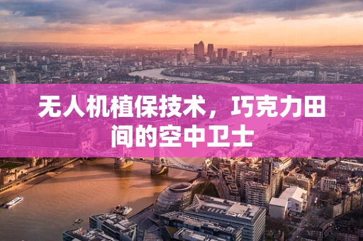 无人机植保技术，巧克力田间的空中卫士