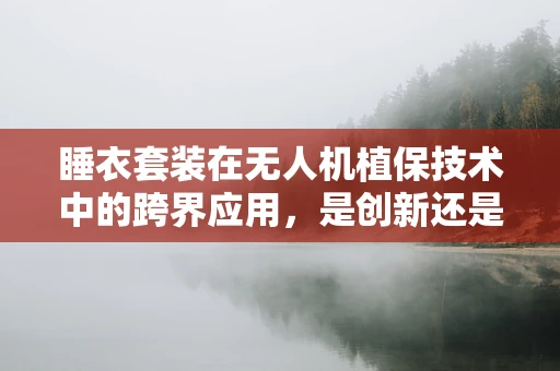 睡衣套装在无人机植保技术中的跨界应用，是创新还是误用？