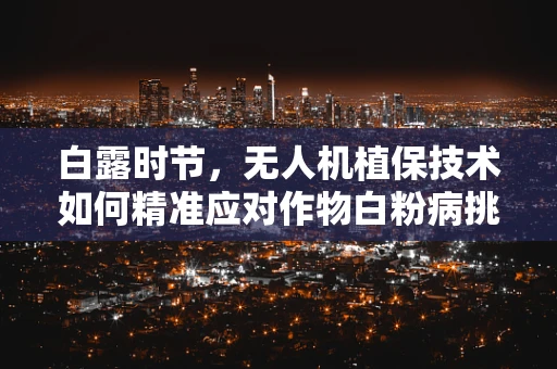 白露时节，无人机植保技术如何精准应对作物白粉病挑战？