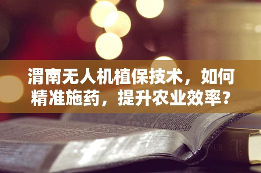 渭南无人机植保技术，如何精准施药，提升农业效率？