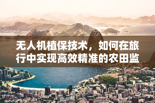 无人机植保技术，如何在旅行中实现高效精准的农田监测？