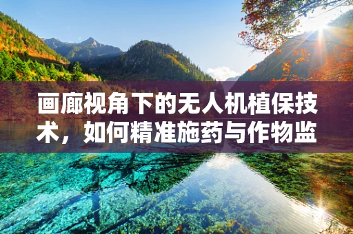 画廊视角下的无人机植保技术，如何精准施药与作物监测？