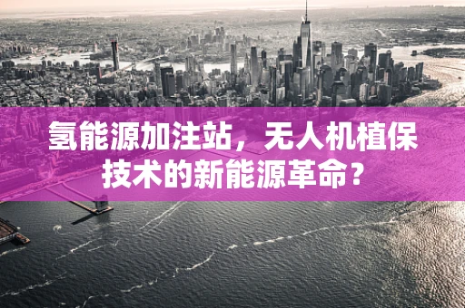 氢能源加注站，无人机植保技术的新能源革命？