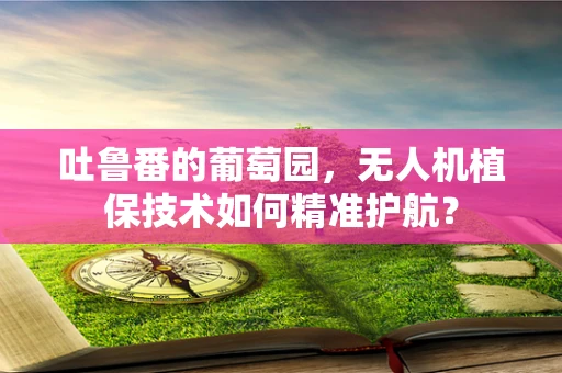 吐鲁番的葡萄园，无人机植保技术如何精准护航？