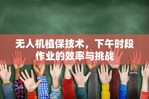 无人机植保技术，下午时段作业的效率与挑战
