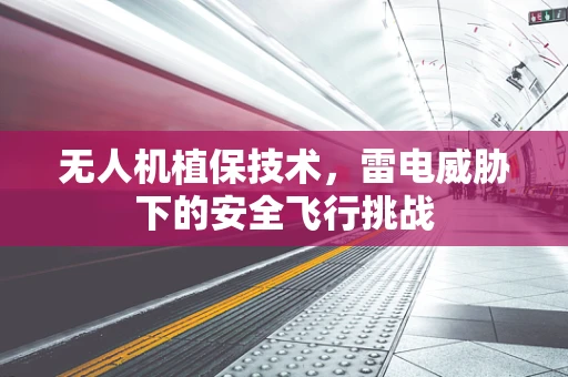无人机植保技术，雷电威胁下的安全飞行挑战