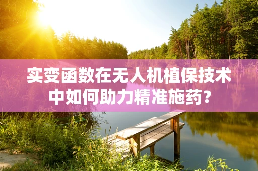 实变函数在无人机植保技术中如何助力精准施药？