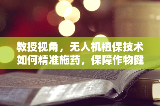 教授视角，无人机植保技术如何精准施药，保障作物健康与环境保护？
