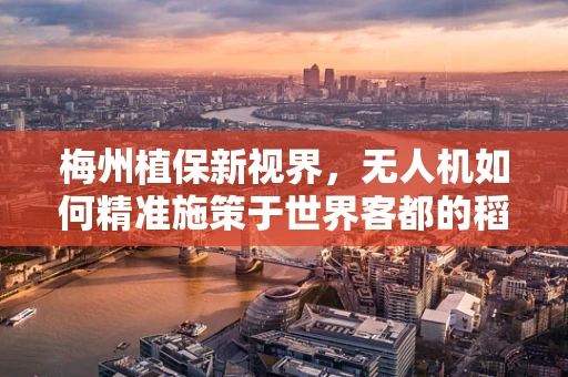 梅州植保新视界，无人机如何精准施策于世界客都的稻田？