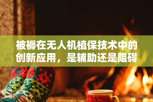 被褥在无人机植保技术中的创新应用，是辅助还是阻碍？