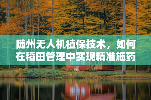 随州无人机植保技术，如何在稻田管理中实现精准施药？