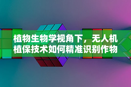 植物生物学视角下，无人机植保技术如何精准识别作物健康状况？