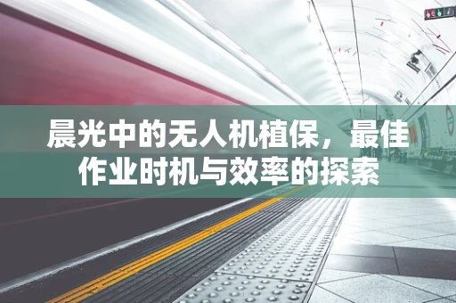 晨光中的无人机植保，最佳作业时机与效率的探索