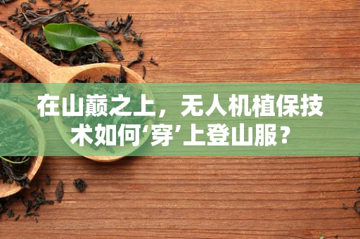 在山巅之上，无人机植保技术如何‘穿’上登山服？