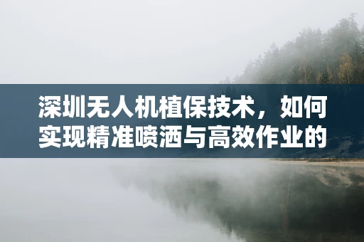 深圳无人机植保技术，如何实现精准喷洒与高效作业的完美结合？