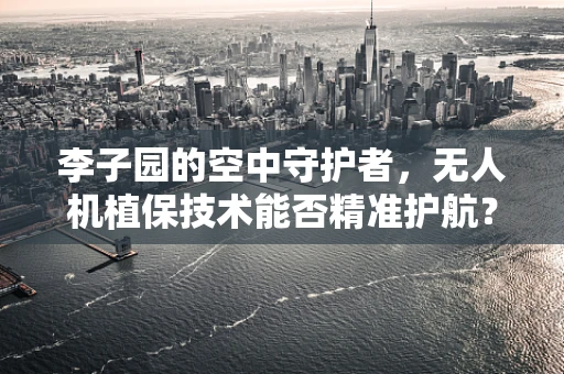 李子园的空中守护者，无人机植保技术能否精准护航？