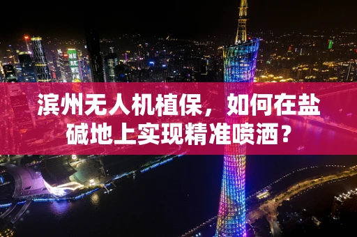 滨州无人机植保，如何在盐碱地上实现精准喷洒？