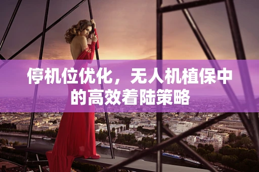 停机位优化，无人机植保中的高效着陆策略