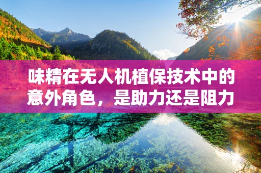 味精在无人机植保技术中的意外角色，是助力还是阻力？