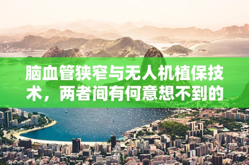 脑血管狭窄与无人机植保技术，两者间有何意想不到的交集？