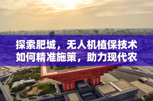 探索肥城，无人机植保技术如何精准施策，助力现代农业新飞跃？