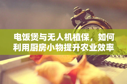 电饭煲与无人机植保，如何利用厨房小物提升农业效率？